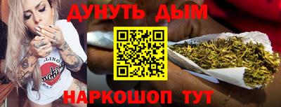 крисы Севастополь