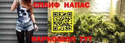 крисы Севастополь
