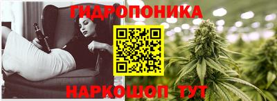 крисы Севастополь