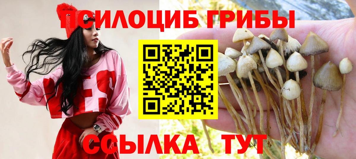 Саров  Псилоцибиновые грибы прущие грибы  Вход с VPN 